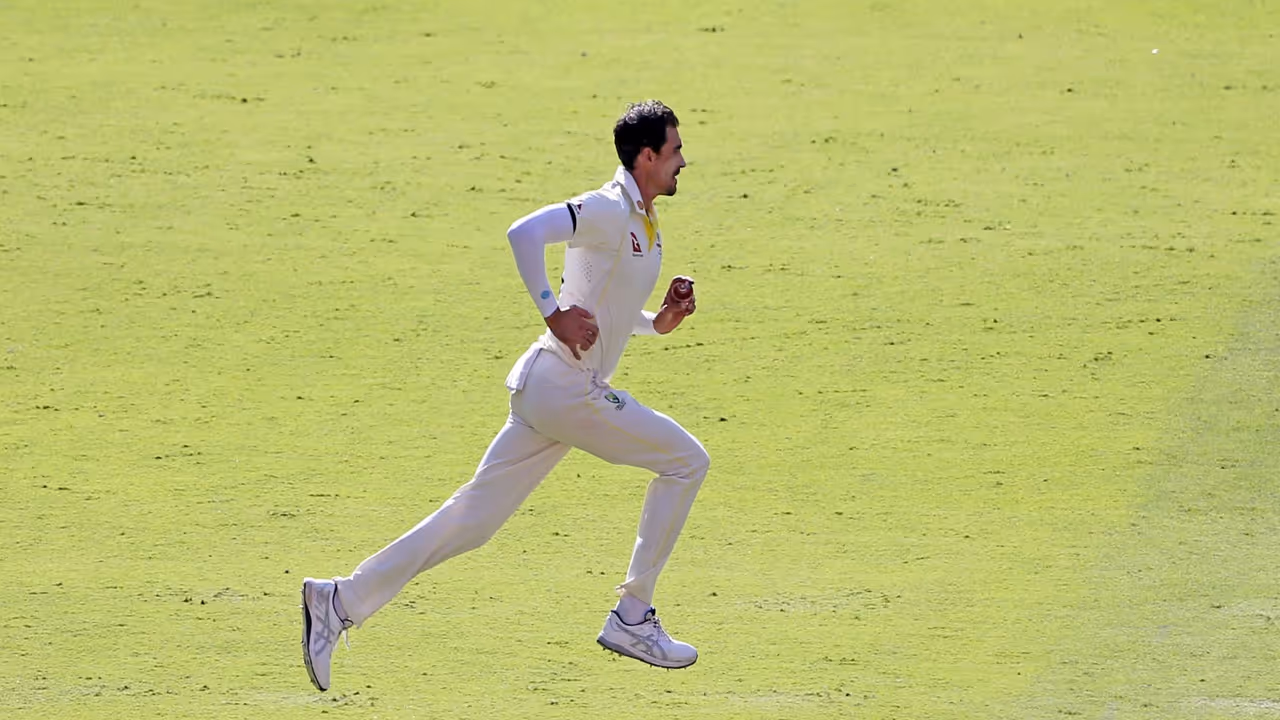 Mitchell Starc. (Photo: ANI) Mitchell Starc. (Photo: ANI)