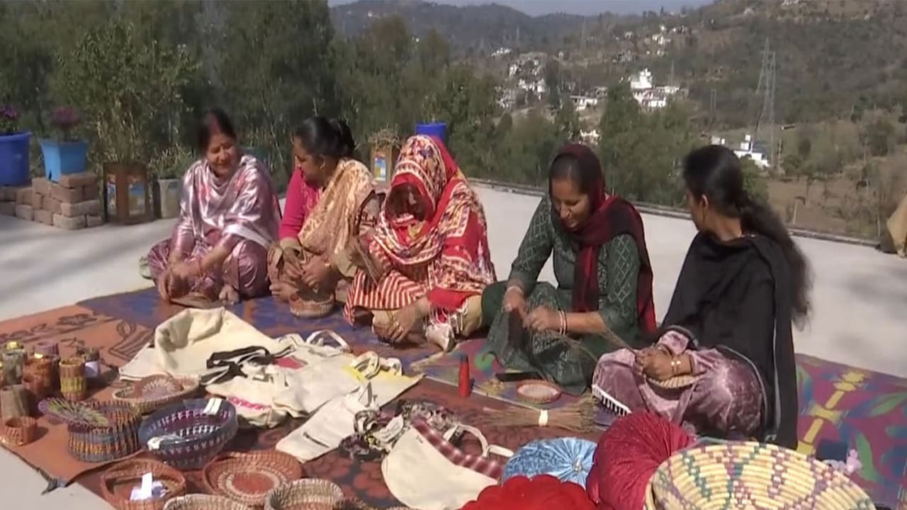 Woman working collaboratively under Umeed scheme. (Photo/ANI) Woman working collaboratively under Umeed scheme. (Photo/ANI)