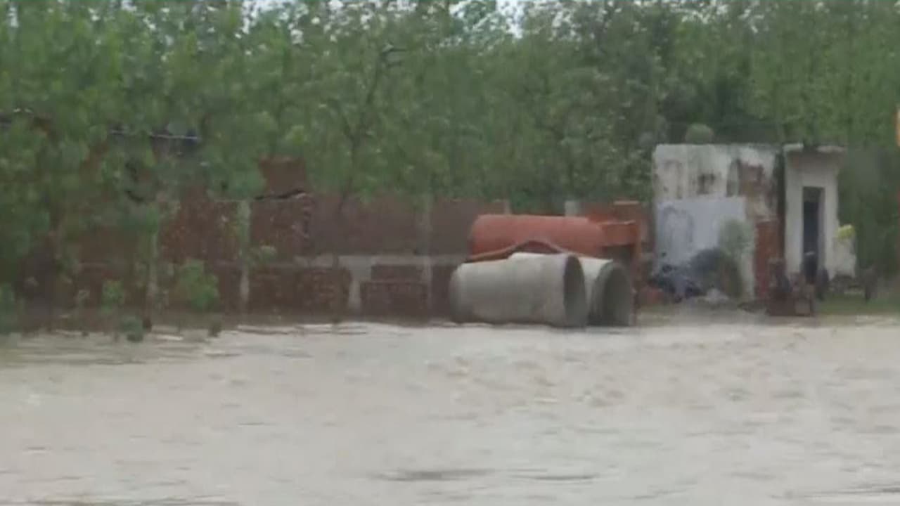 Visuals of the flood (Photo/ANI) Visuals of the flood (Photo/ANI)