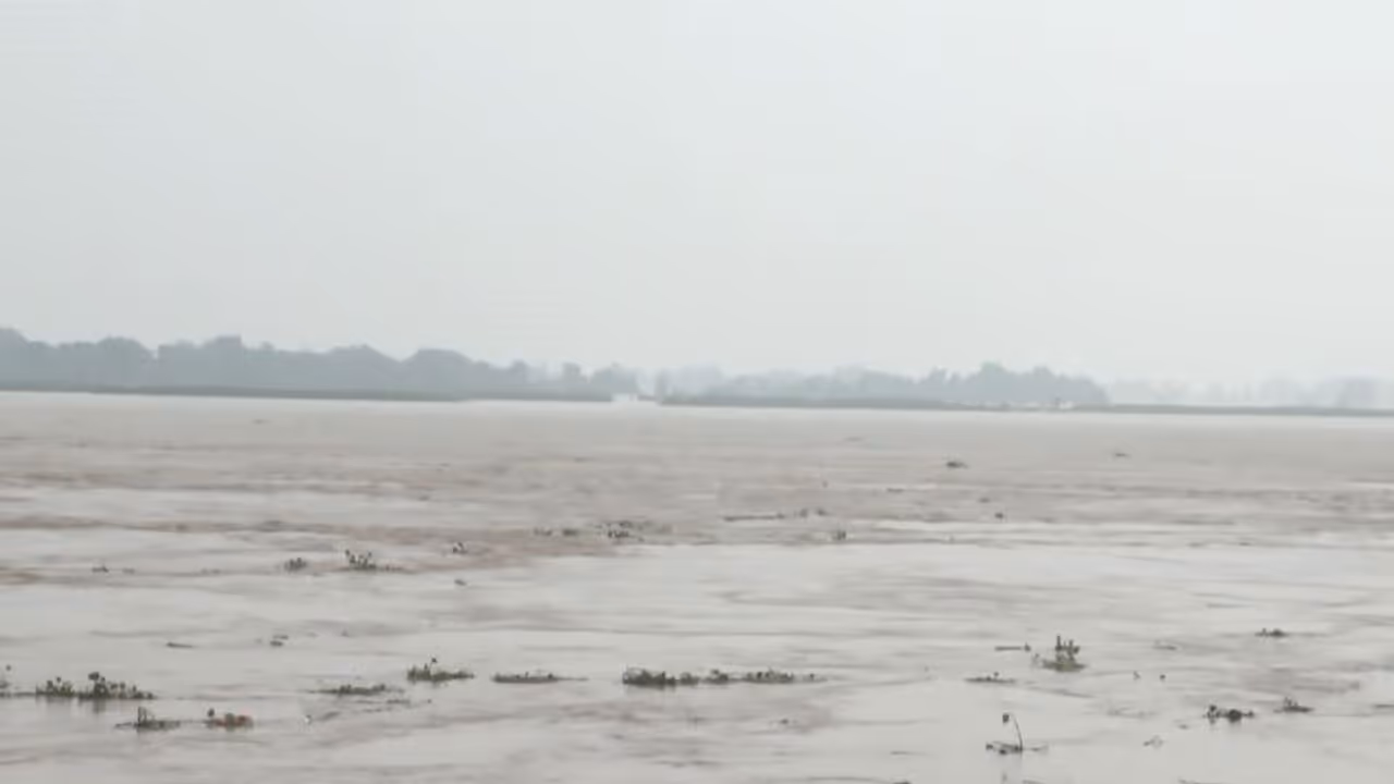 Nakta Diara area amid rising Ganga water levels in Bihar (Photo/ANI) Nakta Diara area amid rising Ganga water levels in Bihar (Photo/ANI)