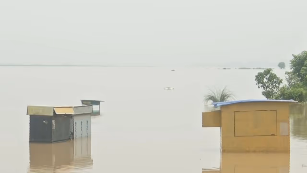 Rising water level of the Ganga River in Patna's low lying areas as flood threat looms over riverbank residents (Photo/ANI) Rising water level of the Ganga River in Patna's low lying areas as flood threat looms over riverbank residents (Photo/ANI)