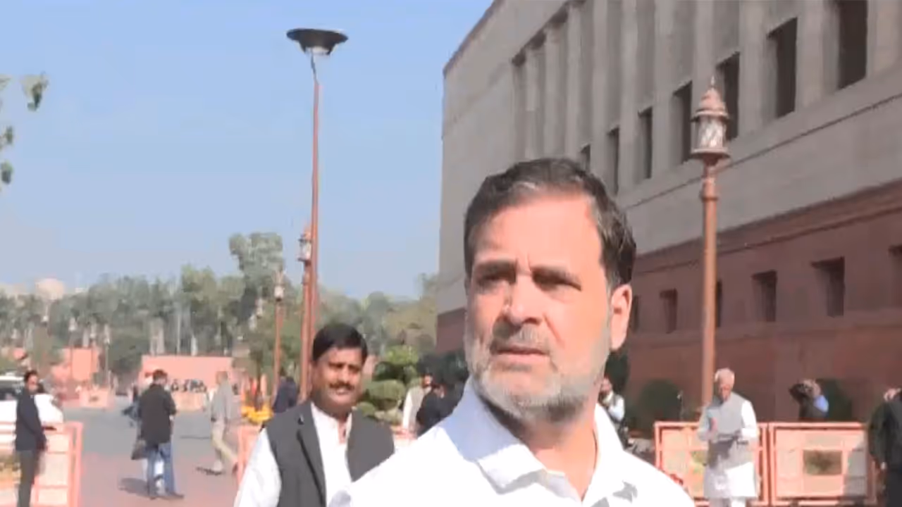 Lok Sabha LoP Rahul Gandhi (Photo/ANI) Lok Sabha LoP Rahul Gandhi (Photo/ANI)