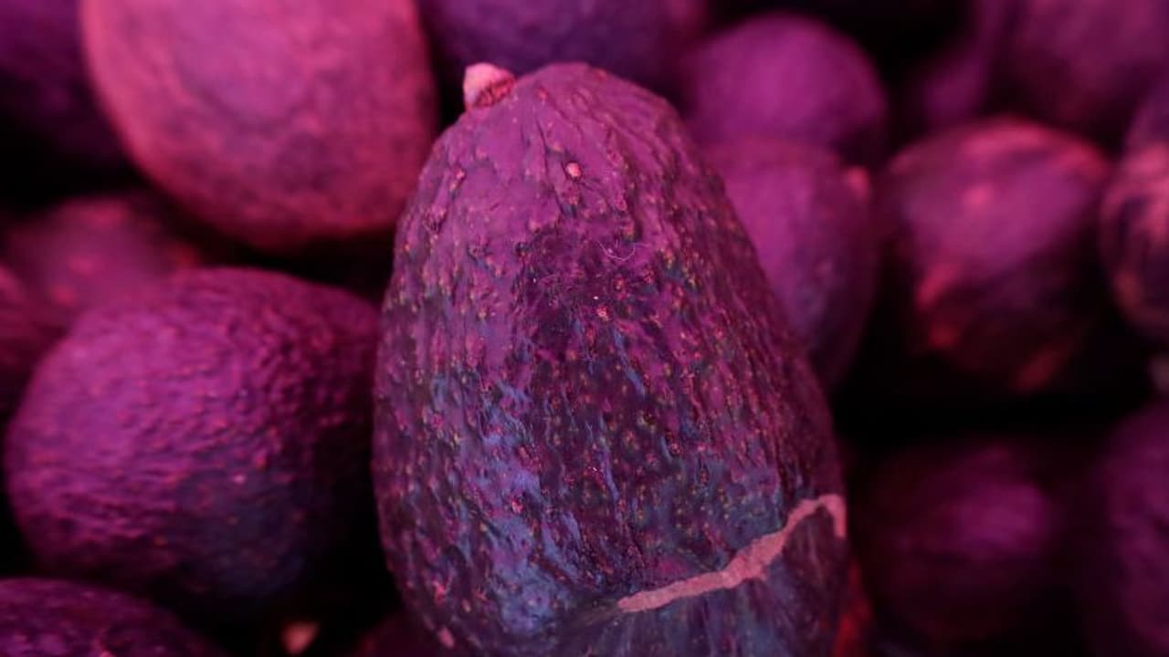 BranchOut Food Stock Surges On Sales Growth Projection: Retail's Bullish