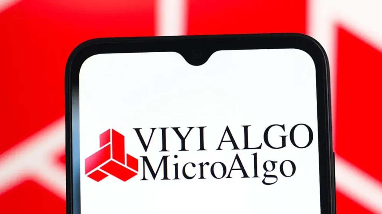https://stocktwits.com/news articles/markets/equity/heavily shorted microalgo stock trends on stocktwits/chQCt3oRbhU
