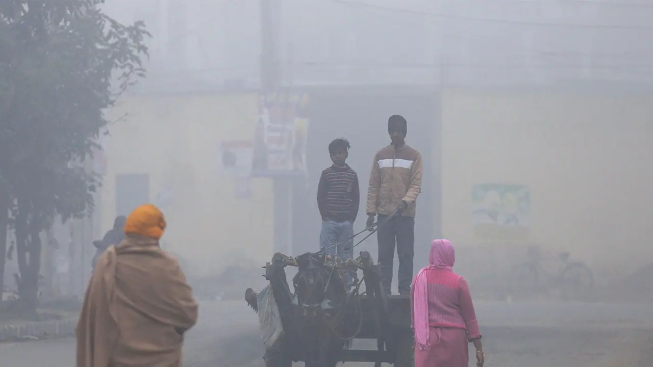 Representative image (File Photo/ANI) Representative image (File Photo/ANI)