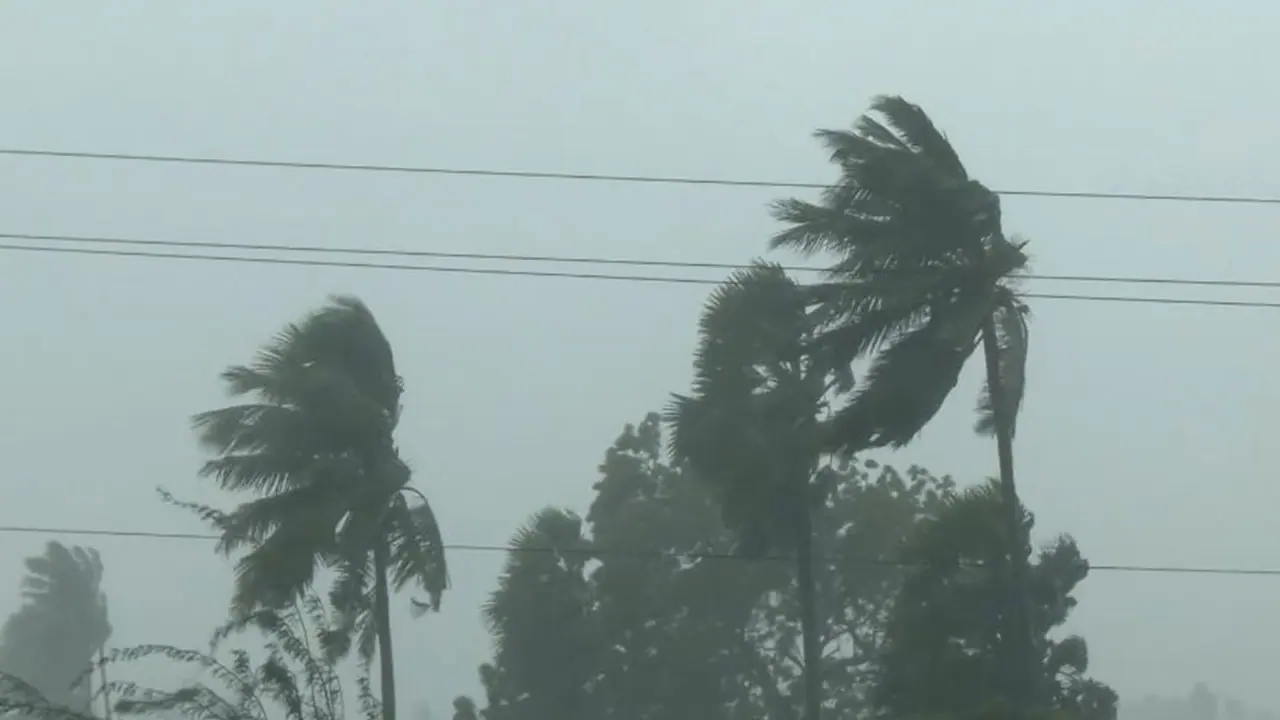 Trees uprooted following Cyclone Arnab (File Photo/ANI) Trees uprooted following Cyclone Arnab (File Photo/ANI)