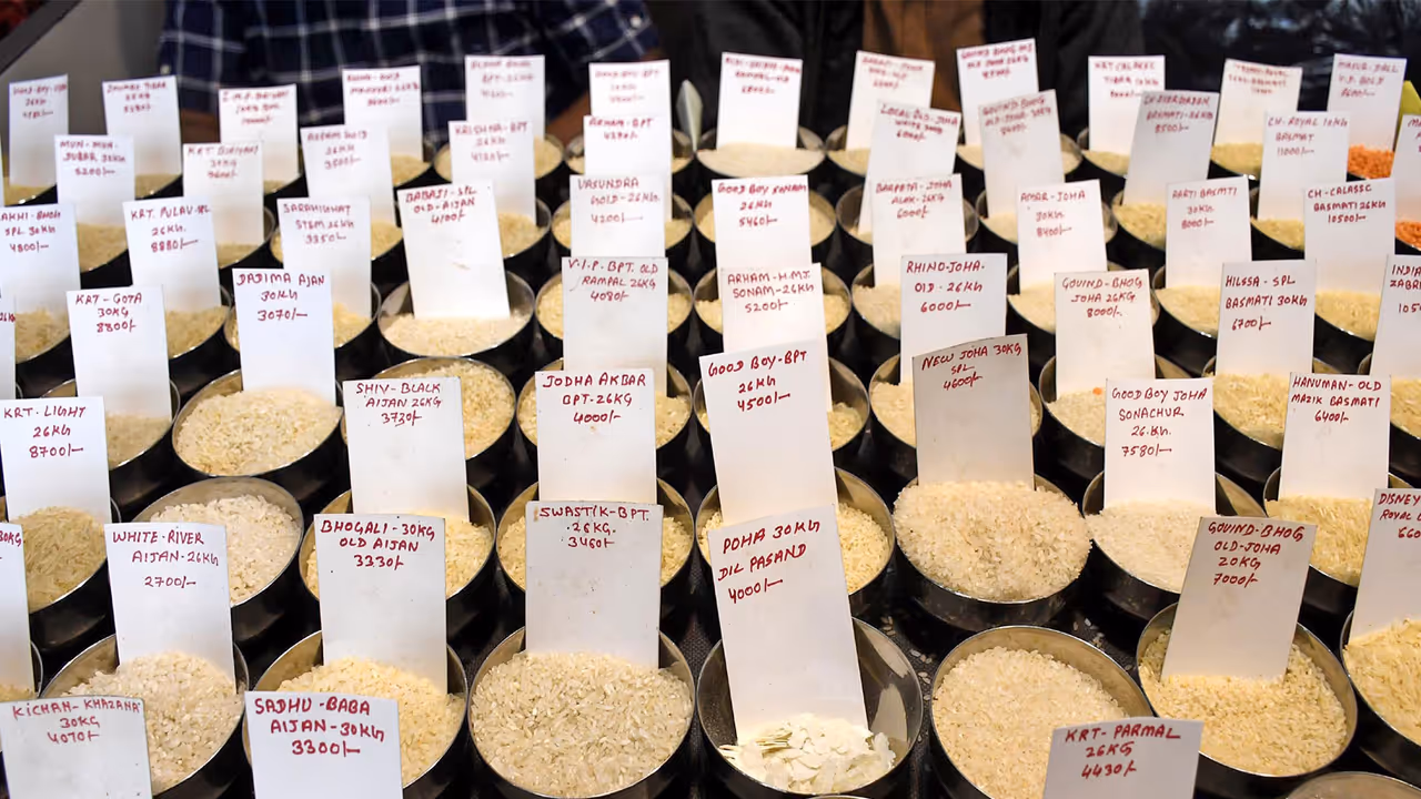 Varieties of Indian rice (File Photo/ANI) Varieties of Indian rice (File Photo/ANI)