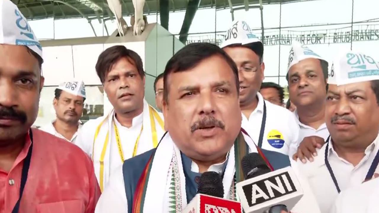 AAP MP Sanjay Singh (Photo/ANI) AAP MP Sanjay Singh (Photo/ANI)