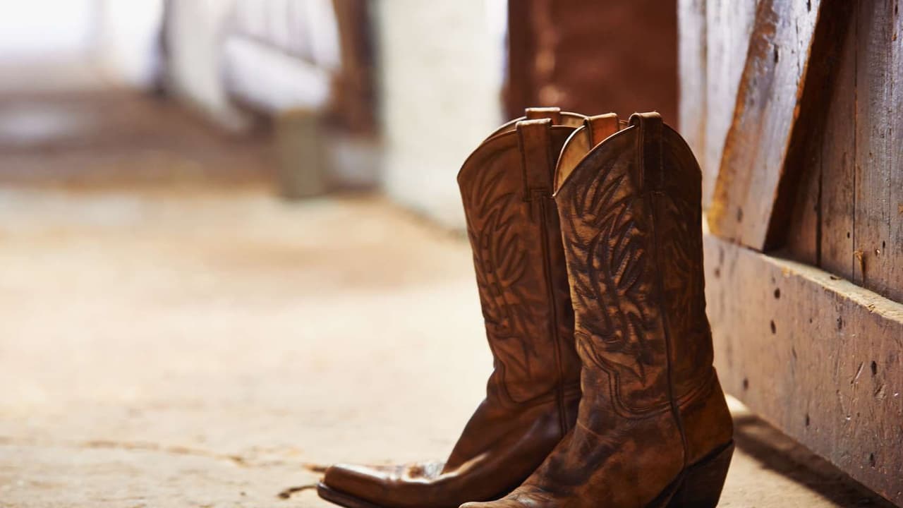Boot Barn Stock Slips After Market Following Q3 Earnings, 2025 Outlook: Retail Mood Sours Boot Barn Stock Slips After Market Following Q3 Earnings, 2025 Outlook: Retail Mood Sours