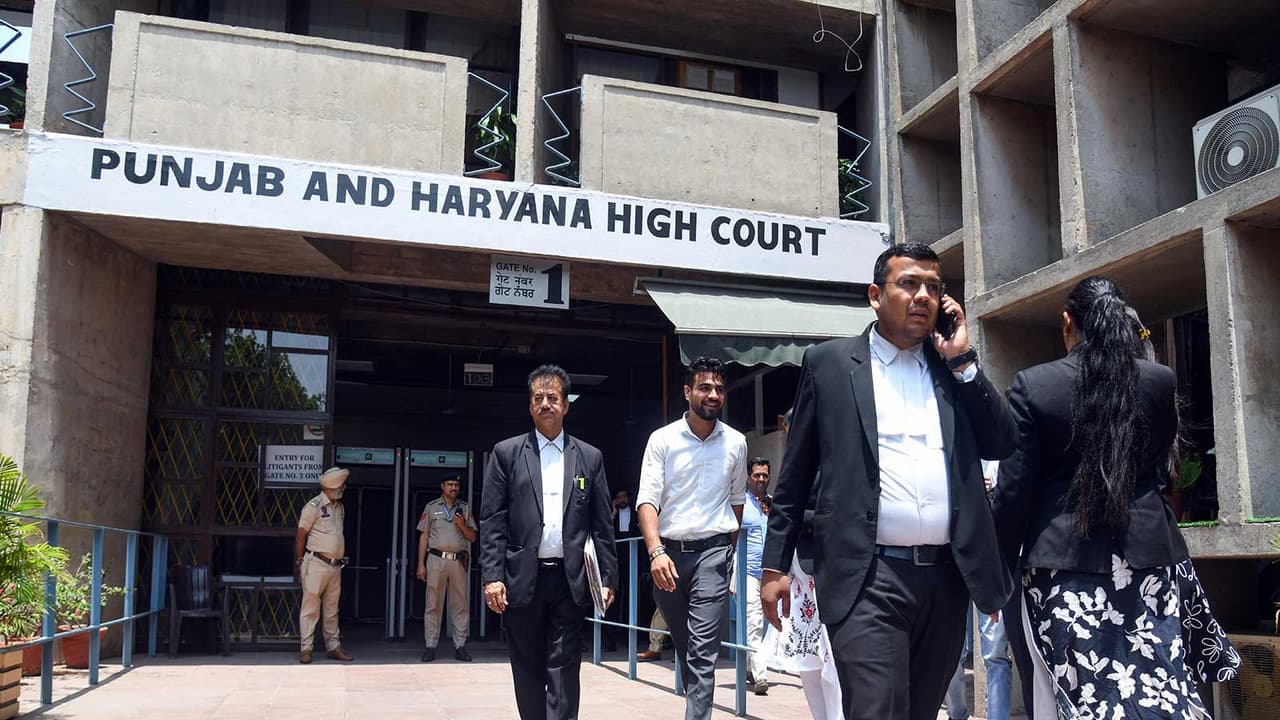 Punjab and Haryana High Court (FilePhoto/ANI) Punjab and Haryana High Court (FilePhoto/ANI)