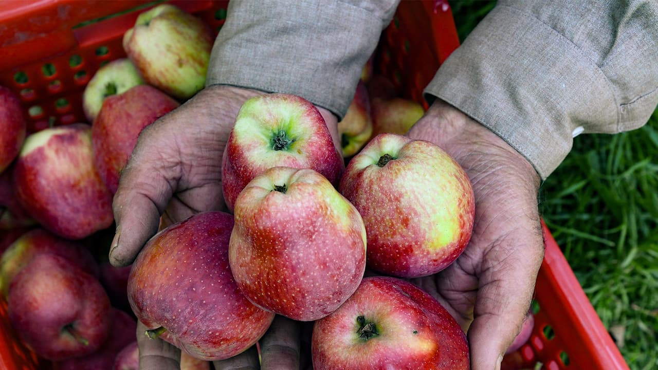 Representative image (File Photo/ANI) Representative image (File Photo/ANI)