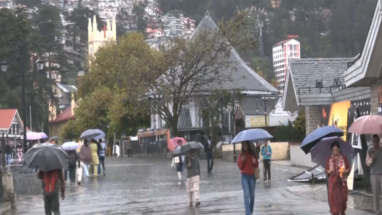 Shimla rainfall (Photo/ANI) Shimla rainfall (Photo/ANI)