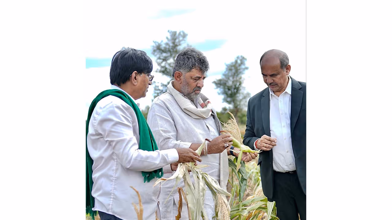 Karnataka CM DK Shivakumar visits drought hit areas (Photo: @CMofKarnataka/X) Karnataka CM DK Shivakumar visits drought hit areas (Photo: @CMofKarnataka/X)