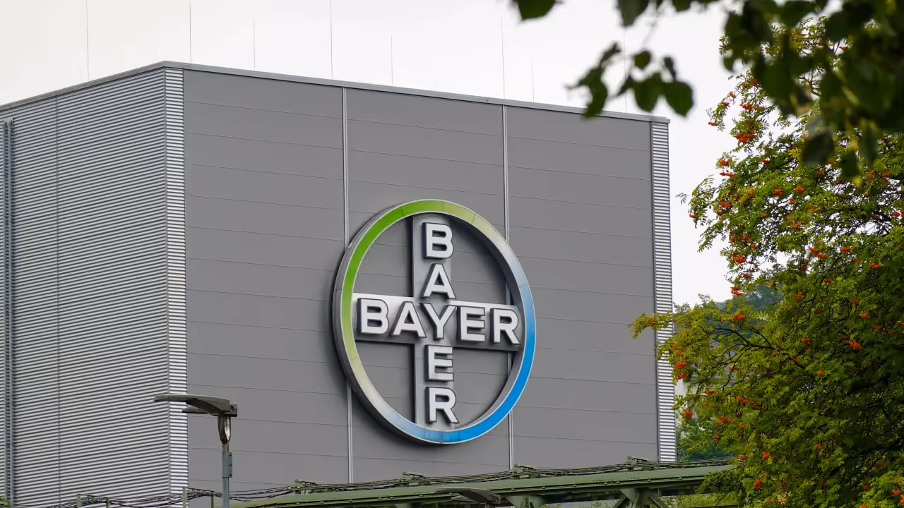 https://stocktwits.com/news articles/markets/equity/retail turns bearish on bayer after 1 3 b kumquat cancer drug deal/chrDy0TRd70 https://stocktwits.com/news articles/markets/equity/retail turns bearish on bayer after 1 3 b kumquat cancer drug deal/chrDy0TRd70