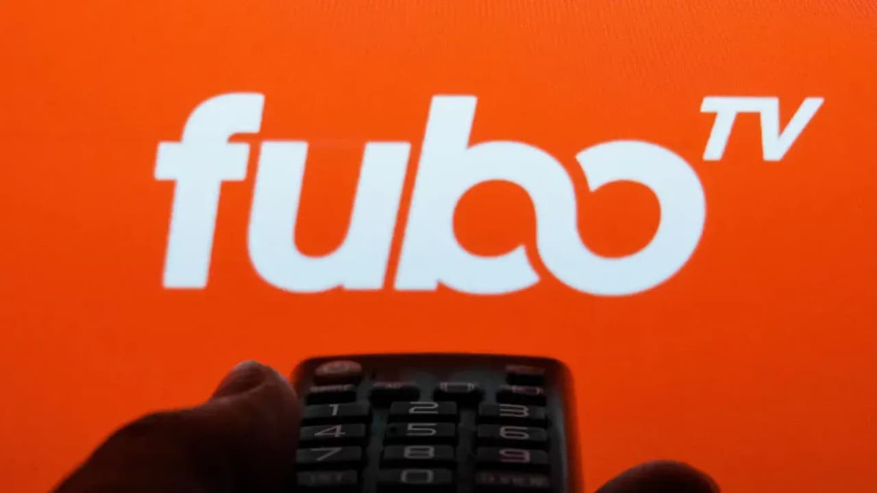 https://stocktwits.com/news articles/markets/equity/fubo stock heads for best week in month fifa world cup excitement/cZK5qDJR7P1 https://stocktwits.com/news articles/markets/equity/fubo stock heads for best week in month fifa world cup excitement/cZK5qDJR7P1