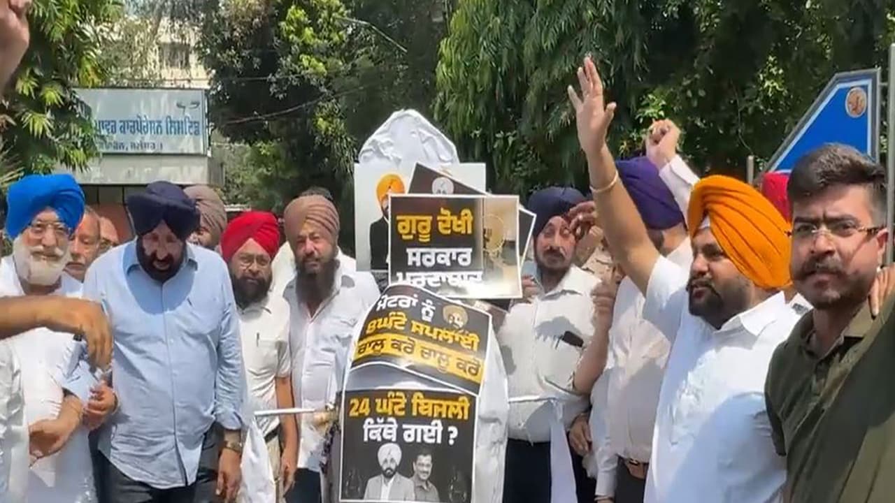 Visual from Akali Dal's protest in Jalandhar (Photo/ANI) Visual from Akali Dal's protest in Jalandhar (Photo/ANI)