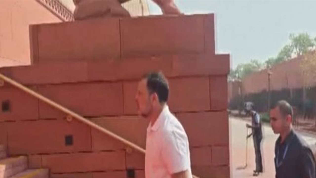 LoP Rahul Gandhi arrives at Congress Parliamentary Party office (Photo/ANI) LoP Rahul Gandhi arrives at Congress Parliamentary Party office (Photo/ANI)