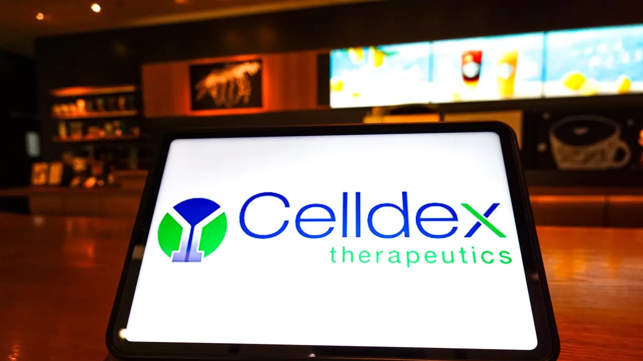 https://stocktwits.com/news articles/markets/equity/cldx stock slumps analyst calls phase 3 trial safety concerns misplaced/cZMPHbZRB72 https://stocktwits.com/news articles/markets/equity/cldx stock slumps analyst calls phase 3 trial safety concerns misplaced/cZMPHbZRB72