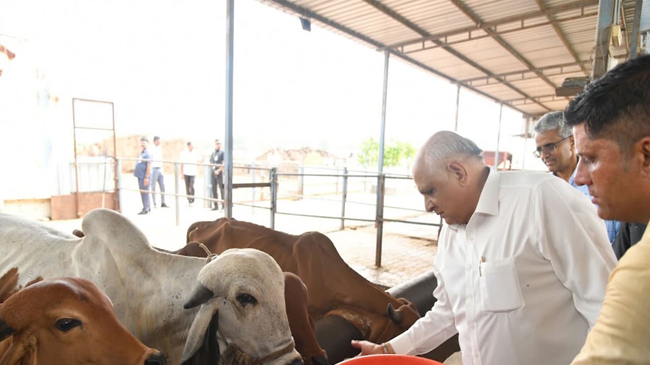 Gujarat Chief Minister Bhupendra Patel (Photo/CMO) Gujarat Chief Minister Bhupendra Patel (Photo/CMO)