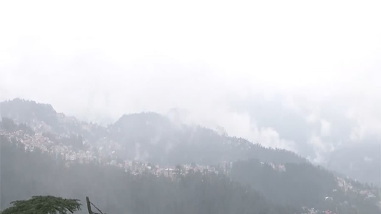 Representative Image (Photo/ANI) Representative Image (Photo/ANI)