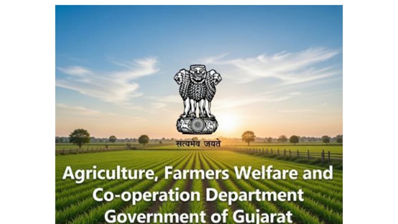 Gujarat Government's Agriculture, Farmers Welfare and Cooperation Department (Photo: x/@GujAgri) Gujarat Government's Agriculture, Farmers Welfare and Cooperation Department (Photo: x/@GujAgri)