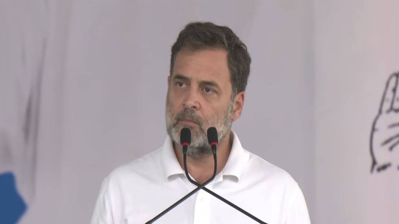 Congress MP Rahul Gandhi (Photo/ANI) Congress MP Rahul Gandhi (Photo/ANI)