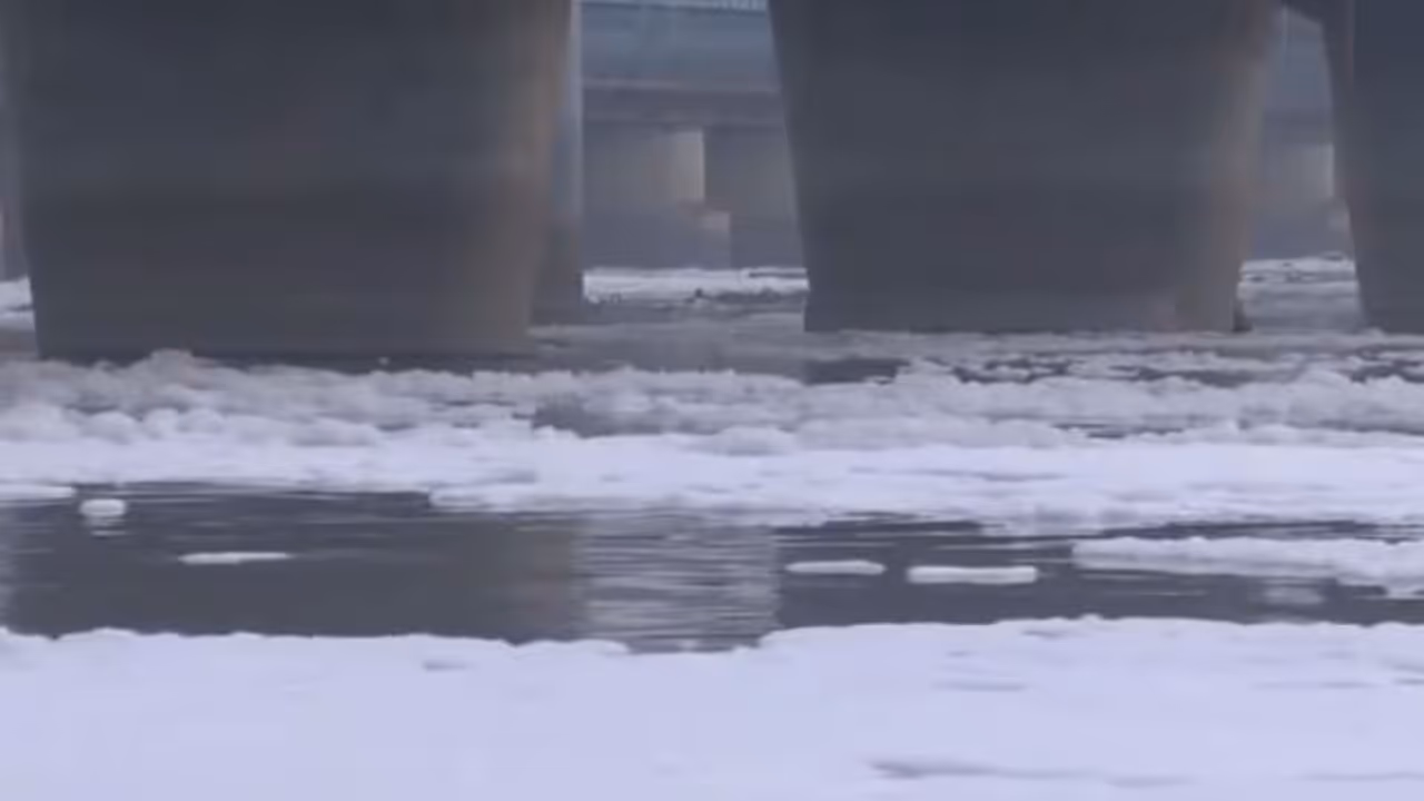 A thick layer of toxic foam seen floating on the surface of the Yamuna River near the Kalindi Kunj (Photo/ANI) A thick layer of toxic foam seen floating on the surface of the Yamuna River near the Kalindi Kunj (Photo/ANI)