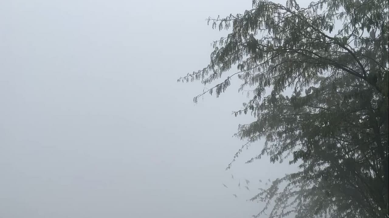 Taj Mahal not visible due to fog (Photo/ANI) Taj Mahal not visible due to fog (Photo/ANI)