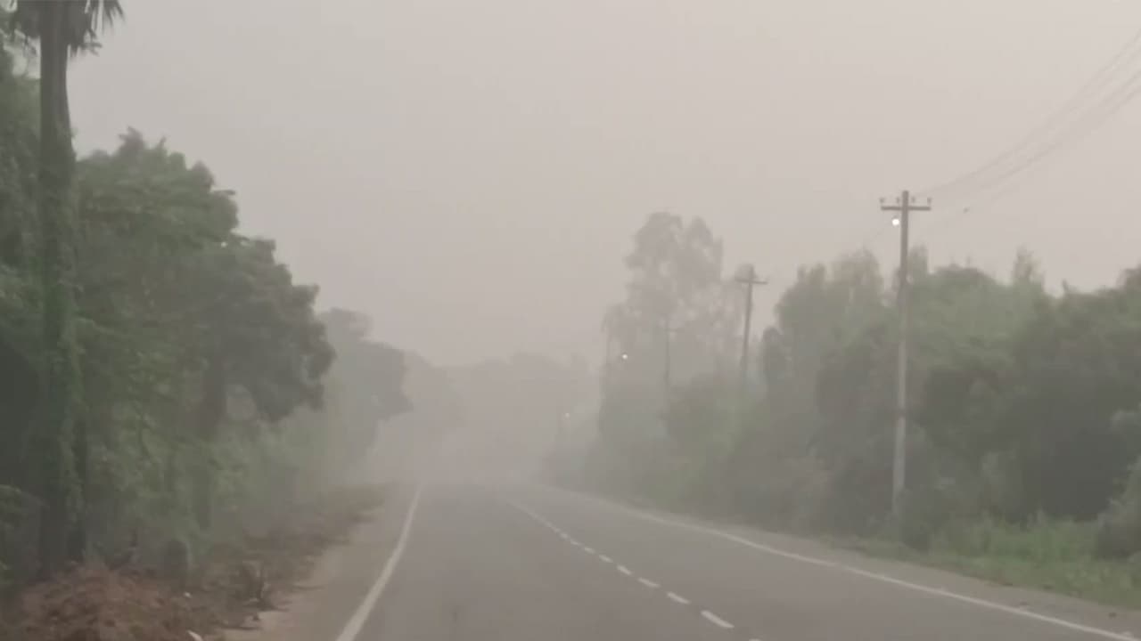 Heavy fog in Chengalpattu (Photo/ANI) Heavy fog in Chengalpattu (Photo/ANI)