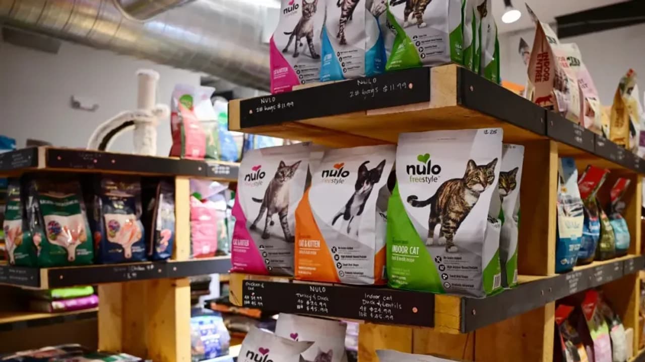  Wag! Group Stock Jumps After Hours As Board Weighs Strategic Moves: Retail Bulls Pounce