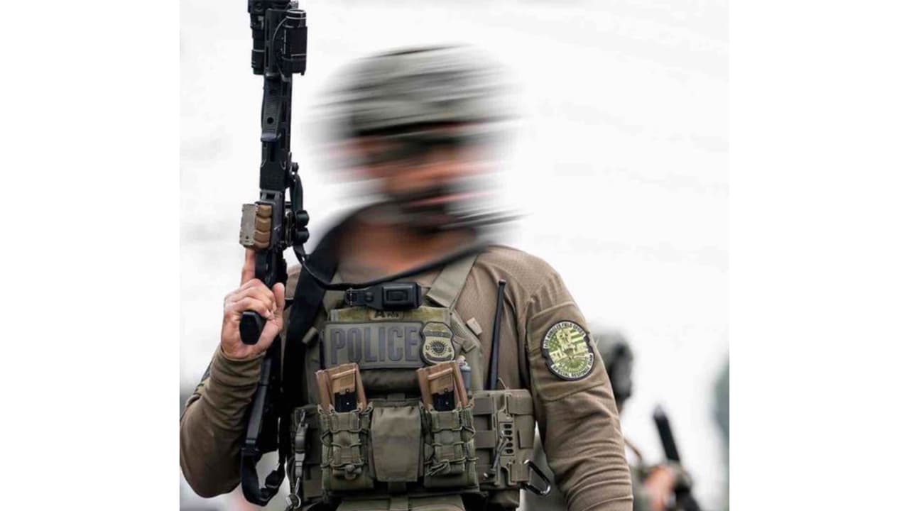 Representative Image (Photo/@ICEgov) Representative Image (Photo/@ICEgov)