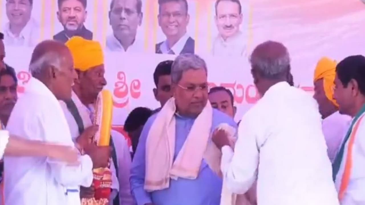 Karnataka CM Siddaramaiah campaigns for Congress candidate Umesh Meti (Photo/ANI) Karnataka CM Siddaramaiah campaigns for Congress candidate Umesh Meti (Photo/ANI)