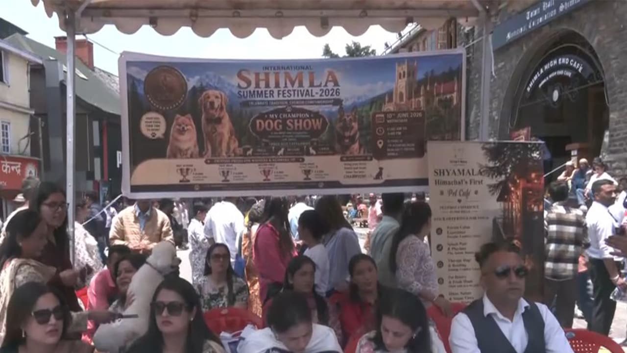 Dog show was held during Shimla Summer festival (Photo/ANI) Dog show was held during Shimla Summer festival (Photo/ANI)