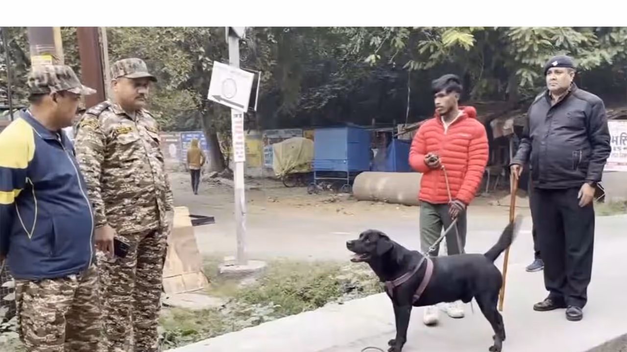 Lucknow cracks down on unlicensed dog walkers in Indira Nagar (Photo/ANI) Lucknow cracks down on unlicensed dog walkers in Indira Nagar (Photo/ANI)