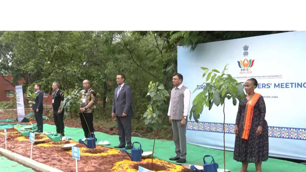 Union Minister Mansukh Mandaviya plants saplings with BRICS delegates (Photo/ANI) Union Minister Mansukh Mandaviya plants saplings with BRICS delegates (Photo/ANI)
