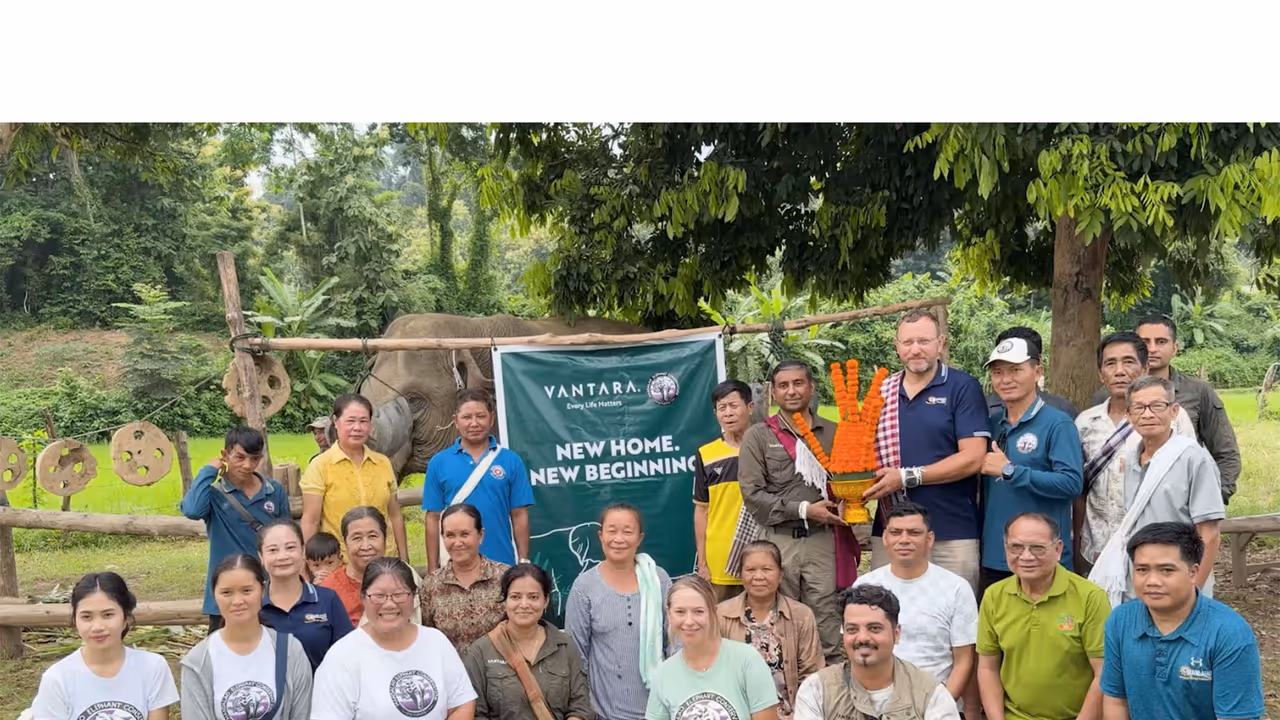 Vantara and Mandalao launch elephant conservation programme (Photo/Vantara) Vantara and Mandalao launch elephant conservation programme (Photo/Vantara)