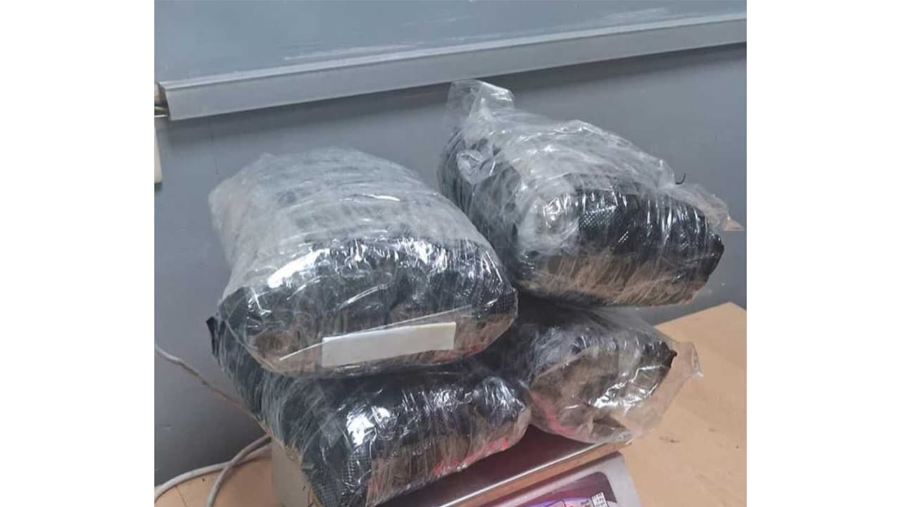 Weed seized at IGI airport in New Delhi (Photo/X/@AirportGenCus) Weed seized at IGI airport in New Delhi (Photo/X/@AirportGenCus)