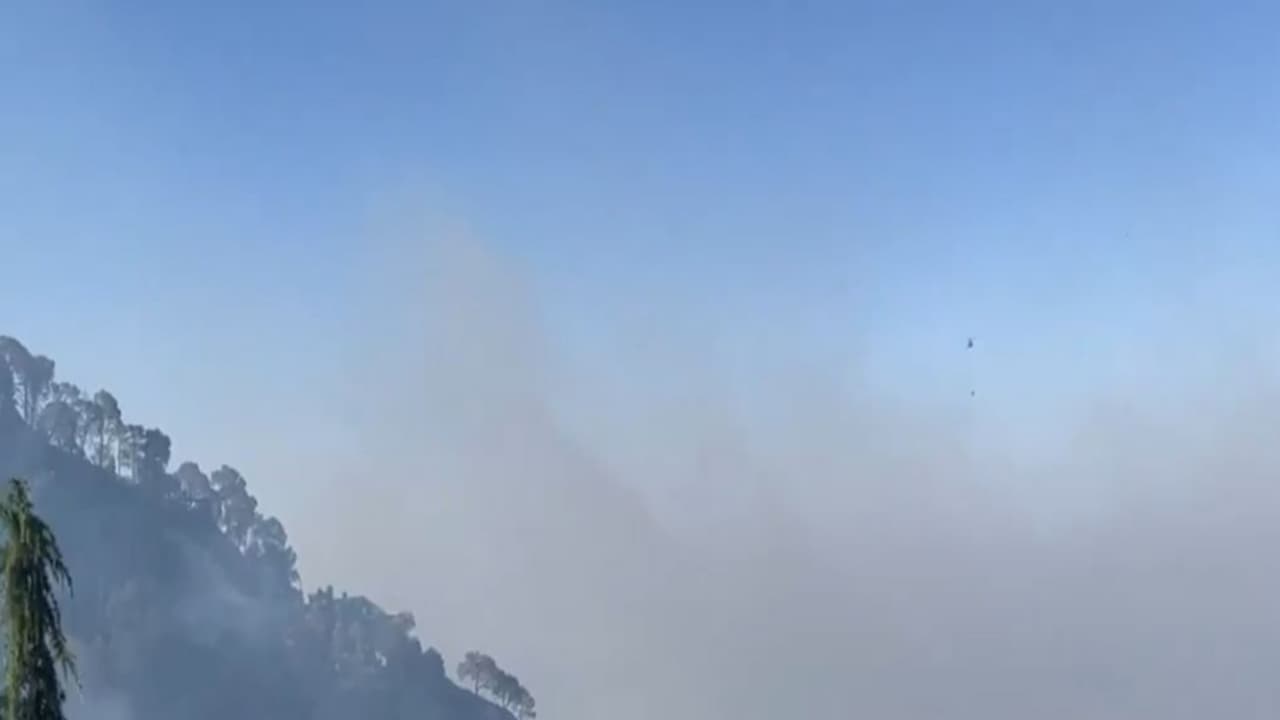 Kasauli forest blaze brought under control (Photo/ANI) Kasauli forest blaze brought under control (Photo/ANI)