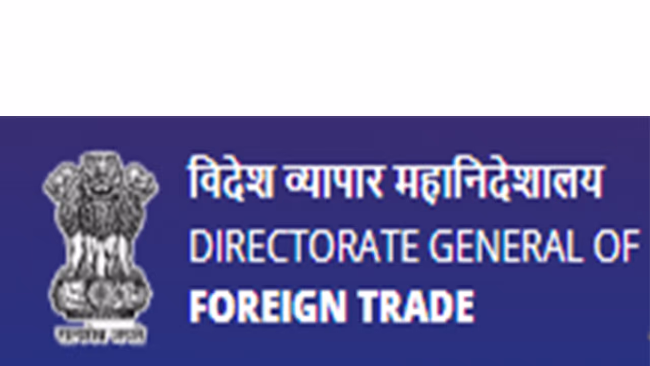 Representative Image(Photo/DGFT website) Representative Image(Photo/DGFT website)
