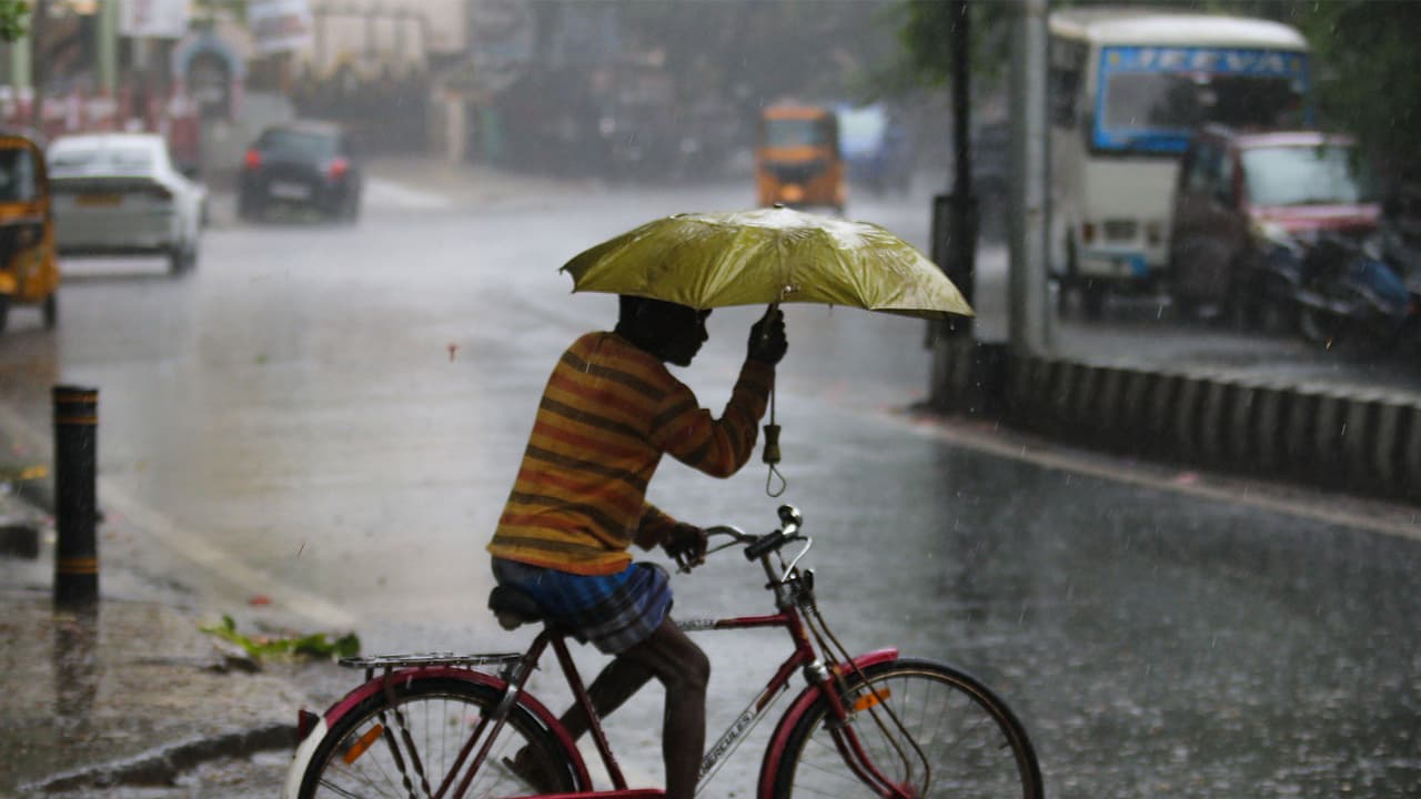 Representative Image (File Photo/ANI) Representative Image (File Photo/ANI)