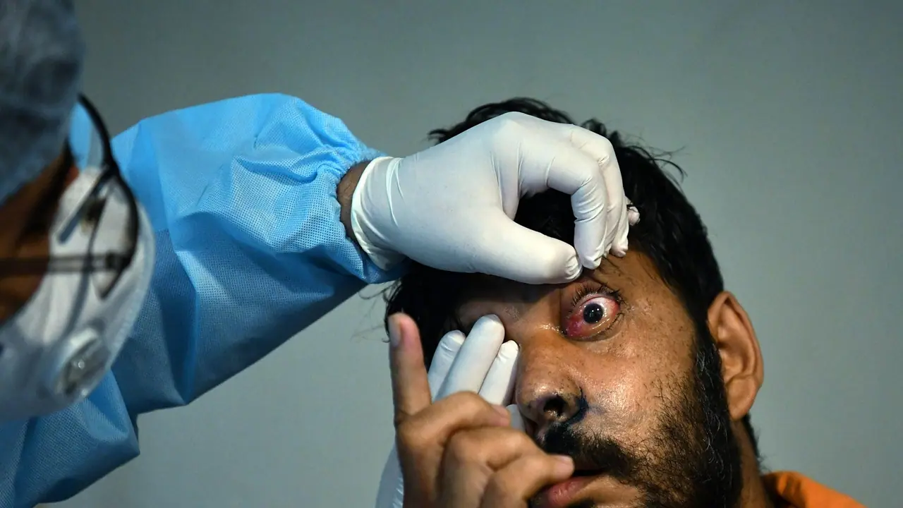 Representative Image (File Photo/ANI) Representative Image (File Photo/ANI)