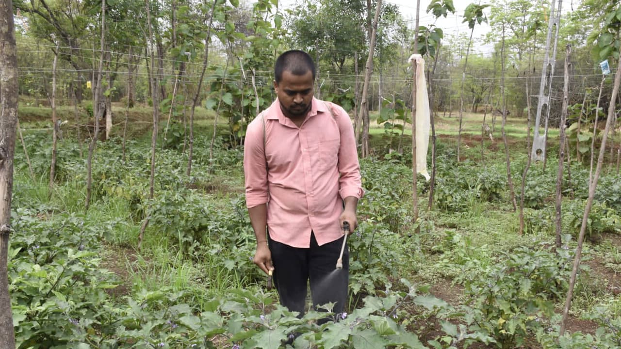 A farmer in Gujarat. (Photo/Gujarat CMO) A farmer in Gujarat. (Photo/Gujarat CMO)