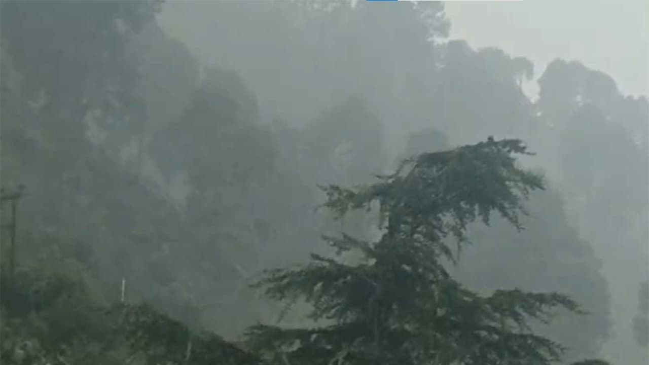 Heavy rain lashes parts of Ramban district (Photo/ANI) Heavy rain lashes parts of Ramban district (Photo/ANI)