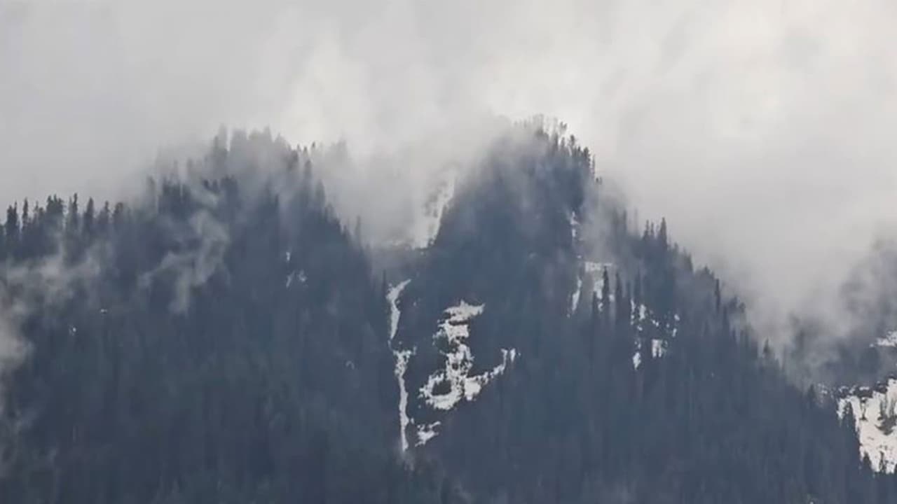 Visual from Bhalesa, Jammu and Kashmir (Photo/ANI) Visual from Bhalesa, Jammu and Kashmir (Photo/ANI)