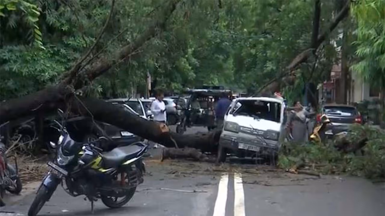 A tree fell on a van in Rohini Sector 15 area (Photo/ANI) A tree fell on a van in Rohini Sector 15 area (Photo/ANI)