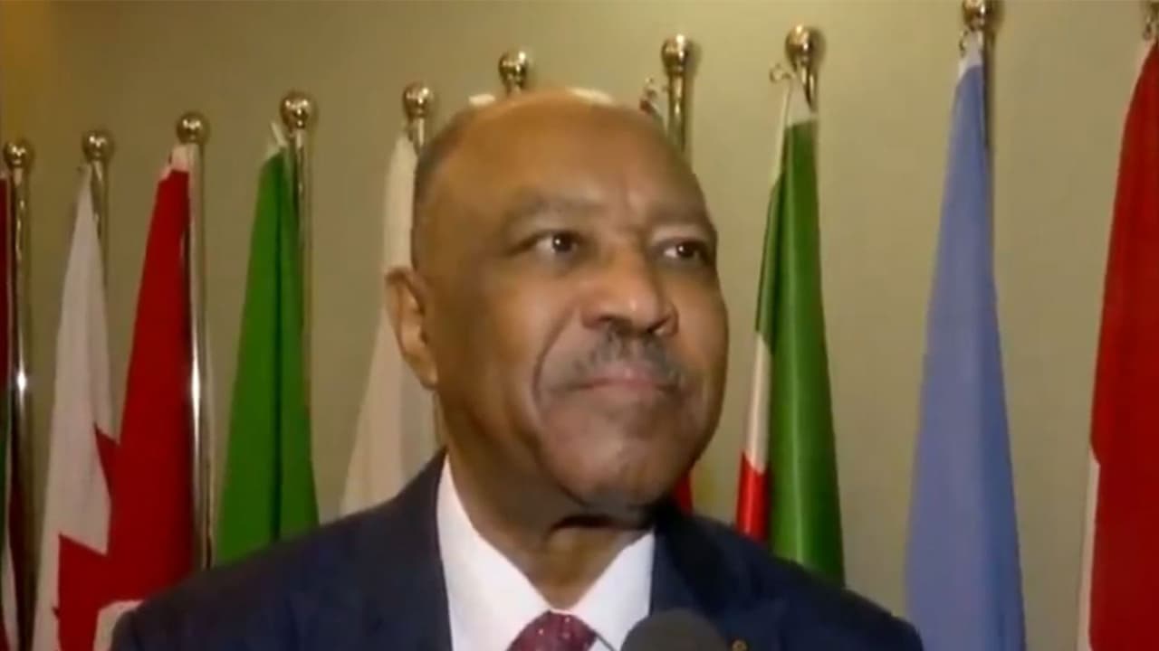 Sudan's Foreign Minister Mohieldin Salim Ahmed Ibrahim. (Photo/ANI) Sudan's Foreign Minister Mohieldin Salim Ahmed Ibrahim. (Photo/ANI)