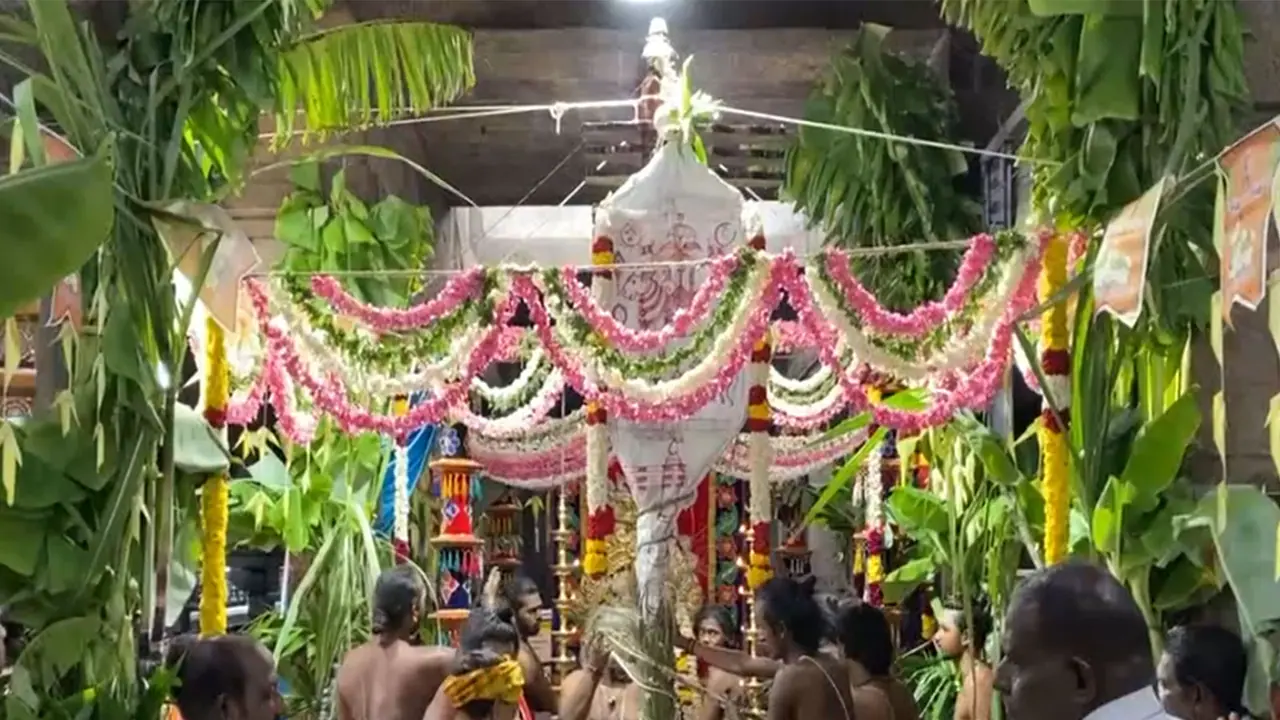 Aippasi Thirukalyanam celebration (Photo/ANI) Aippasi Thirukalyanam celebration (Photo/ANI)