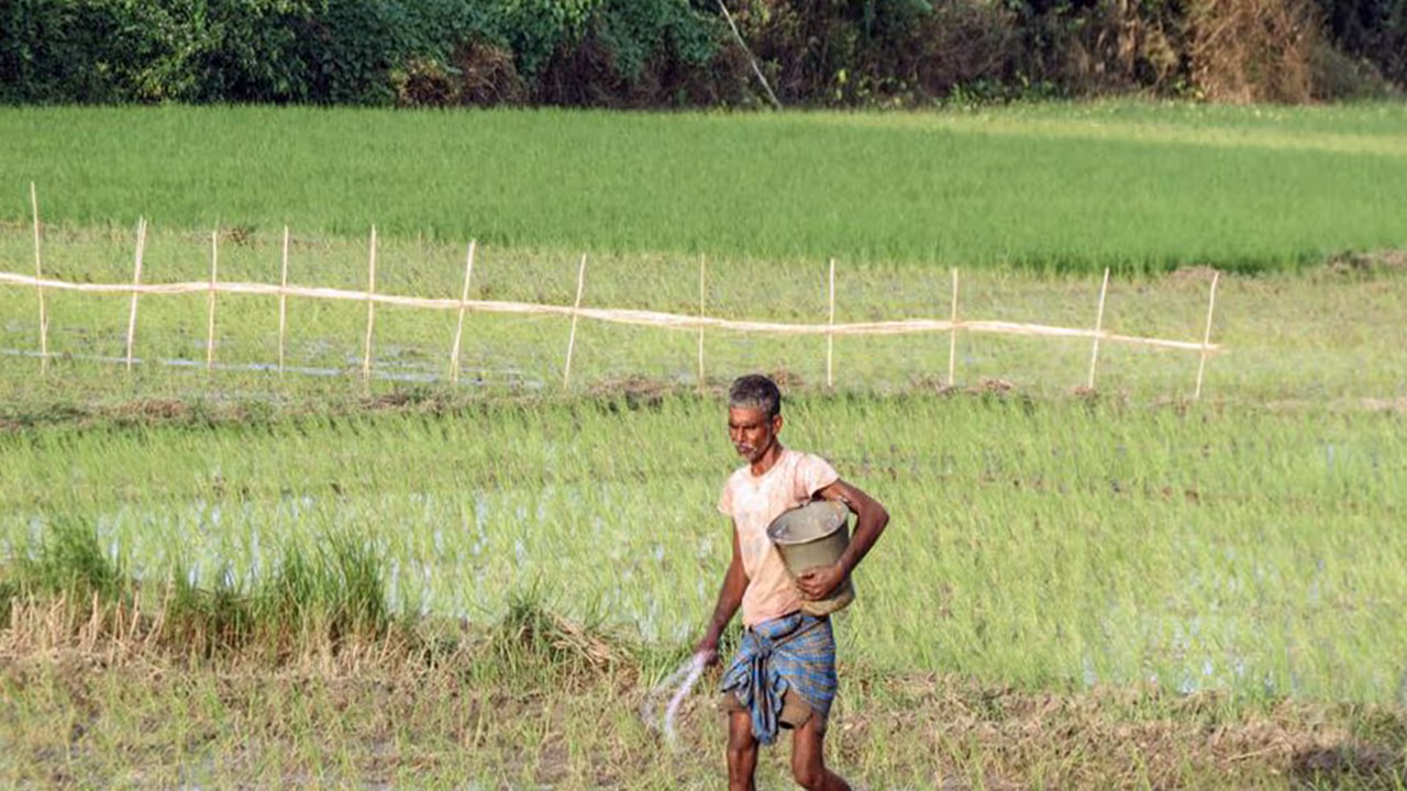 A farmer working in the field. (File Photo/ANI) A farmer working in the field. (File Photo/ANI)
