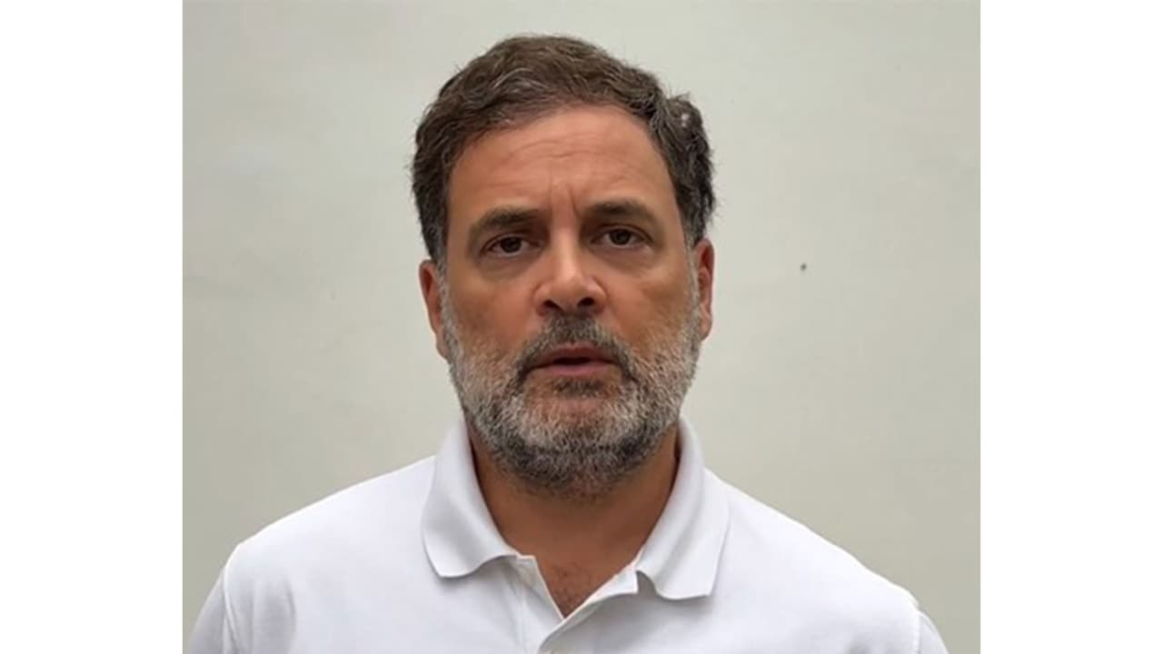 Lok Sabha LoP and Congress MP Rahul Gandhi (Photo/X/ @RahulGandhi) Lok Sabha LoP and Congress MP Rahul Gandhi (Photo/X/ @RahulGandhi)