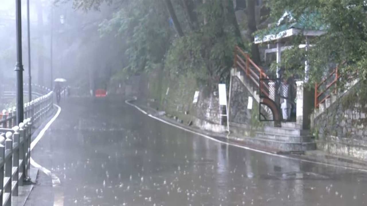Visual of rain lashing in Shimla, Himachal Pradesh (Photo/ANI) Visual of rain lashing in Shimla, Himachal Pradesh (Photo/ANI)